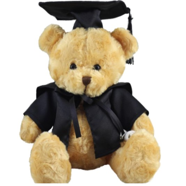 Bright Spark Graduation Bear