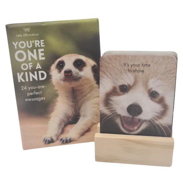 You&#39;re One Of A Kind Affirmation Cards.